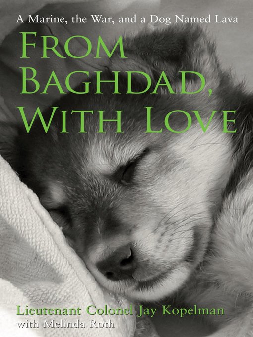 Title details for From Baghdad, With Love by Jay Kopelman - Wait list